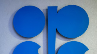 OPEC backs bigger output boost amid Russian isolation