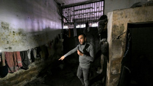 Ex-prisoners back in Syria's cells 'of despair'