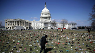 Another mass shooting, another US gun control debate