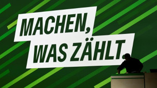 Grüne treffen sich zum "Zukunftskongress"