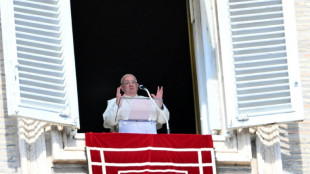 El papa Francisco pide un "alto el fuego inmediato" en Oriente Medio