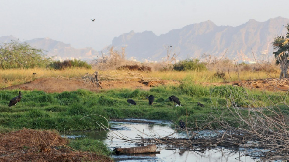 Yemen war turns nature reserve back into waste dump