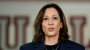 Kamala Harris anuncia medidas e investimentos em meio à visita de presidente da Guatemala