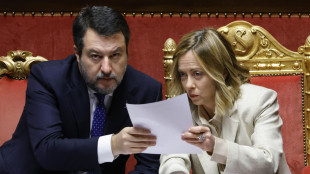 Salvini, Governo unito, non mi faranno litigare con Giorgia