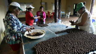 Burn land or plant trees? Bolivian farmers weigh their options