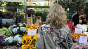 Una lluvia de flores prevista para el funeral de Isabel II