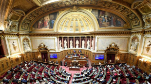 Après les turbulences à l'Assemblée, le projet de loi sanitaire aux mains du Sénat