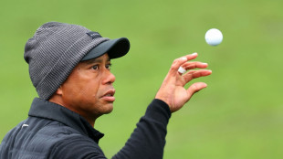 Golf: Woods in erweiterten US-PGA-Tour-Vorstand berufen