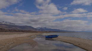 Shrinking lake on Albanian-Greek border struggles to survive