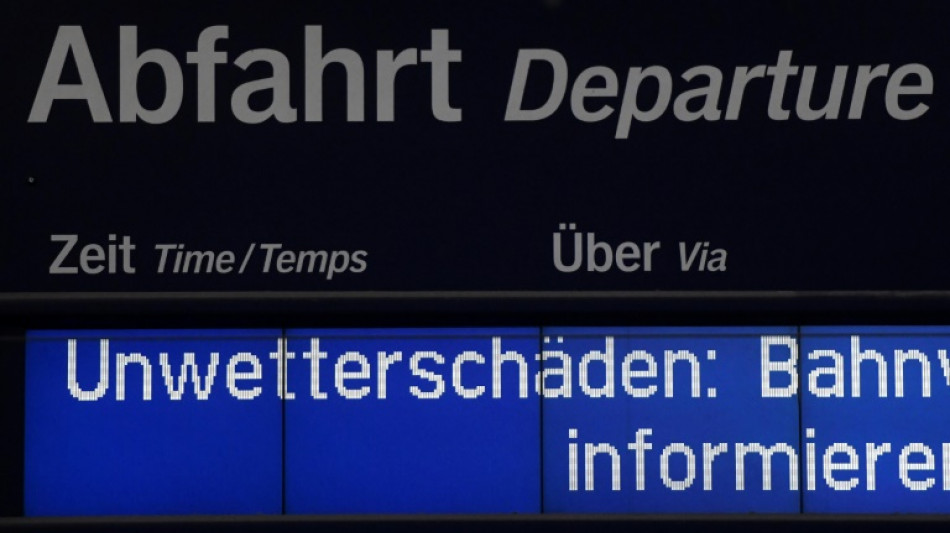 Umgestürzte Bäume und abgeknickte Äste stören immer häufiger den Bahnverkehr