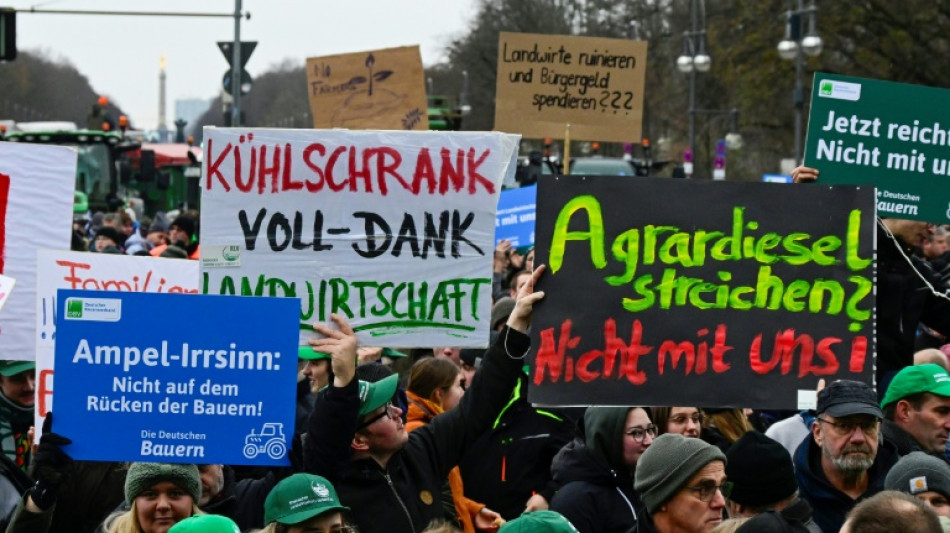 Bauern protestieren gegen Sparpläne der "Ampel" - Özdemir: "Ich werde kämpfen"