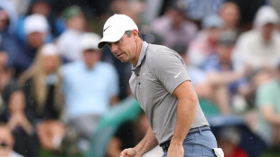 McIlroy grabs lead as storm halts final round at Players