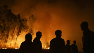 La plupart des incendies maîtrisés au Portugal