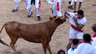 Six hurt in Spanish bull running