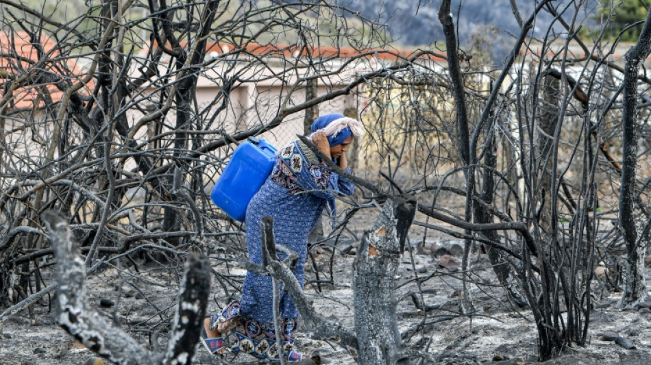 Les incendies meurtriers éteints en Algérie