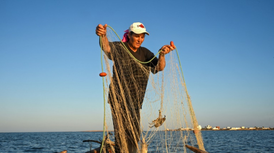 Tunisia fisherwomen battle inequality and climate change