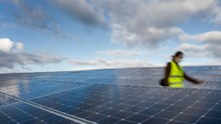 Carbon, l'espoir d'une usine géante de panneaux photovoltaïques en France