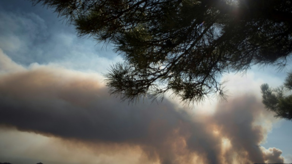 Unos 2.000 evacuados por un violento incendio en el sur de España