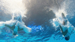 Wasserspringer Barthel/Rüdiger als Vierte ins Finale