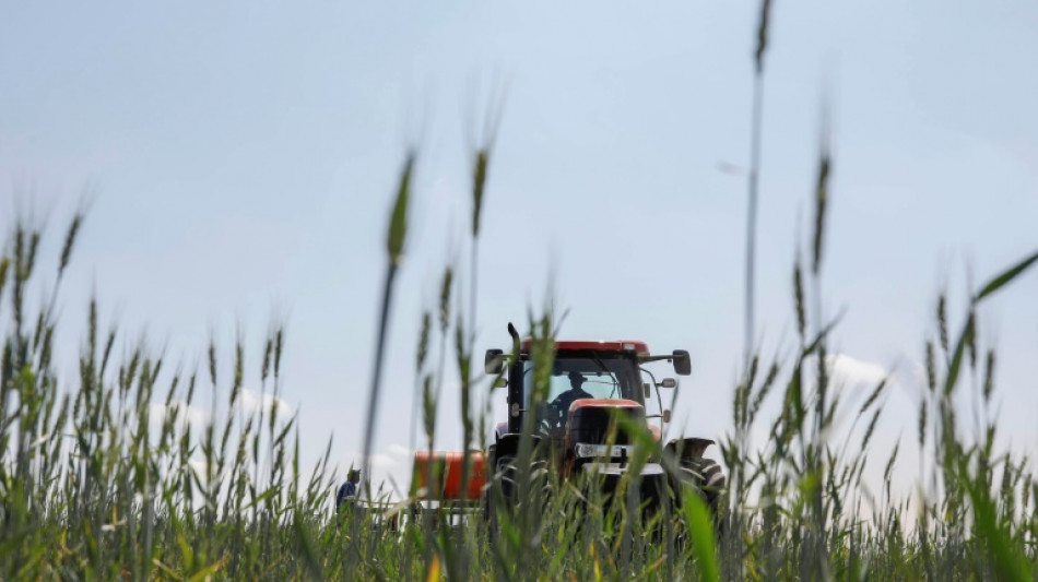 Bayer will Bio-Insektenvernichtungsmittel für Getreide auf den Markt bringen