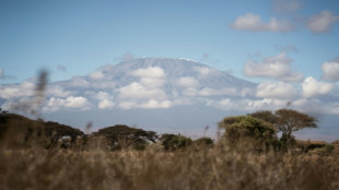 Tanzanie: plusieurs incendies continuent sur le Kilimandjaro