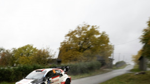 Rovanperä zum zweiten Mal Rallye-Weltmeister