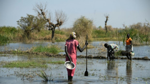 UN-Büro: 1,4 Millionen Menschen von Überschwemmungen im Südsudan betroffen