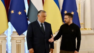 A Kiev, Orban réclame à Zelensky un "cessez-le-feu" avec la Russie