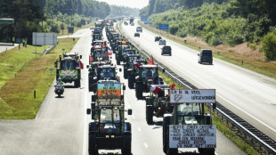 Dutch farmers protest livestock cuts to curb nitrogen