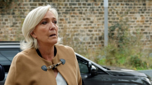 Procès du RN: à la barre, Marine Le Pen esquive mais se défend sans relâche